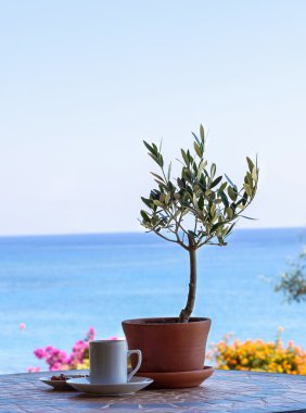 Deniz Manzaralı ve gökyüzü zeytin ağacı bir masada kahve.