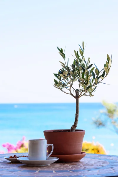 Cup of coffee on a table with olive tree, with the sea view and sky. — Stock Photo, Image