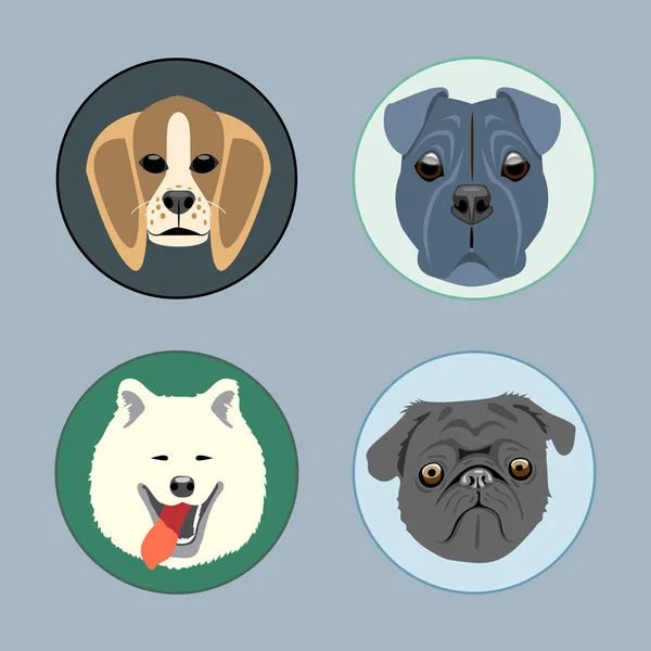 Honden set platte stijl. Husky, Rottweiler, taxa, Victoriaanse. Digitaal vector beeld — Stockvector