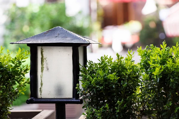 Foto de lanterna de rua fechar em um terraço de café de verão com arbustos verdes — Fotografia de Stock
