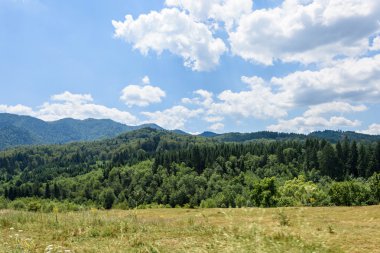 Sabah, Romanya brasov dağlarda yeşil orman fotoğrafı.