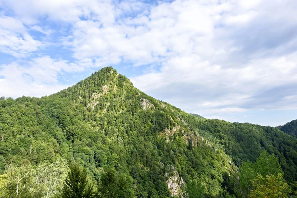 Foto av gröna topparna i Făgăraş bergen, Rumänien. — Stockfoto