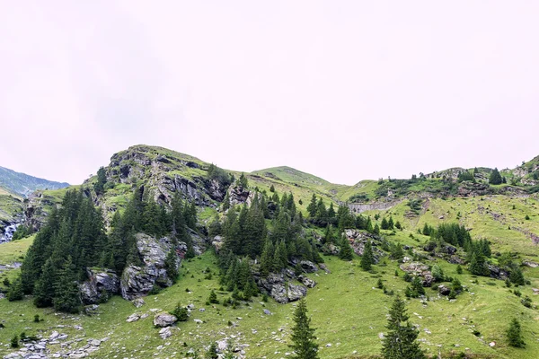 Foto de pico de capra verde, un pequeño río y una carretera en las montañas fagaras, Rumania . —  Fotos de Stock