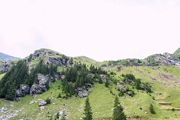 Φωτογραφία: πράσινη κορυφή capra, ένα μικρό ποτάμι και ένα δρόμο στην οροσειρά fagaras, Ρουμανία. — Φωτογραφία Αρχείου