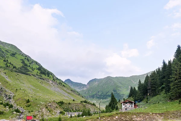 Foto de pico verde de capra, y un camino en las montañas fagaras, Rumania . —  Fotos de Stock