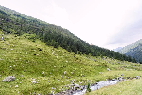 Foto van groene capra piek, een kleine rivier in de bergen van fagaras, Roemenië. — Stockfoto