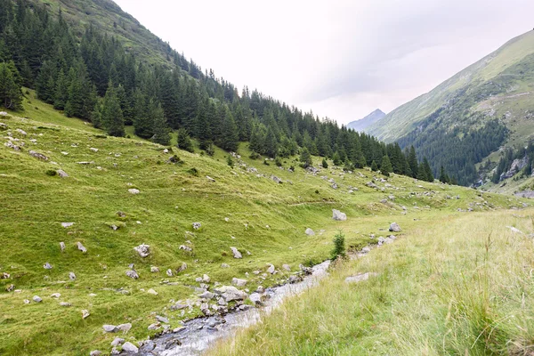 Foto des grünen Capra-Gipfels, einer Straße und eines kleinen Flusses im Fagaras-Gebirge, Rumänien. — Stockfoto