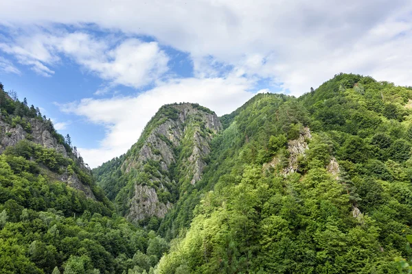 Foto av topparna i Făgăraş bergen, Rumänien. — Stockfoto