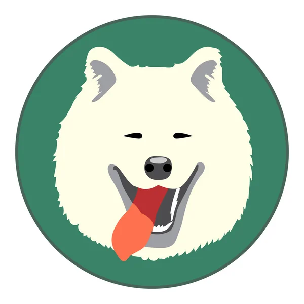 Digital vector samoyed cara de perro — Vector de stock