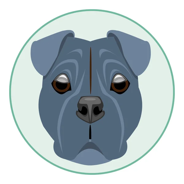 Digitale vector boxer hond gezicht — Stockvector