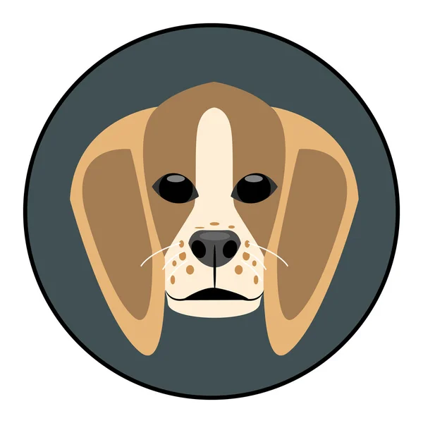 Digital vector beagle cane faccia — Vettoriale Stock