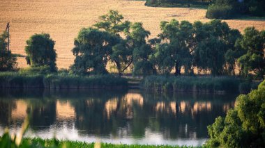 Ağaçlar ve yansımalarla akan nehir