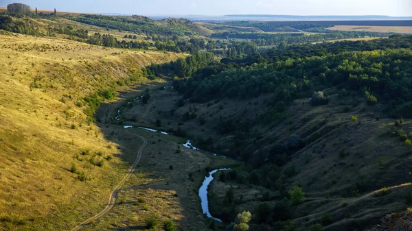 Natura Mołdawii Dolina Płynącą Rzeką Wzgórze Bujnymi Drzewami Prawej Stronie — Zdjęcie stockowe