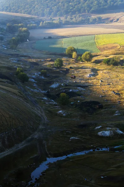 Natureza Moldávia Vale Com Rio Corrente Árvores Raras Terra Rochosa — Fotografia de Stock