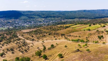Düzlüklerde yer alan köy, ön planda nadir bulunan üçlü ve arka planda yemyeşil tepeler, Moldova 'daki insansız hava aracının manzarası