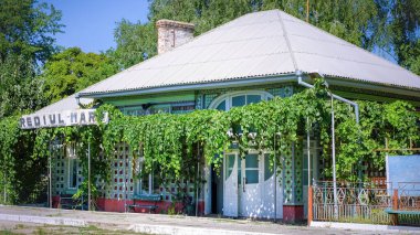 CHISINAU, MOLDOVA - 7 Eylül 2020: Dış cephenin yanında yabani üzüm yetiştiren kır evi, açık kapı, önünde banklar, arka planda yeşillik karmaşası