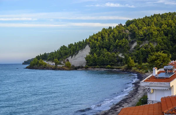Blått Hav Och Strand Med Skog Fourka Scala Halkidiki Grekland — Stockfoto
