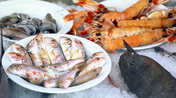 Vis Zeevoedsel Met Garnalen Een Restaurant Afitos Halkidiki Griekenland — Stockfoto
