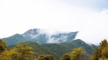Yeşilliklerle kaplı tepeler, bulutlara değen tepeler, ön plandaki ağaçlar, Stavros, Yunanistan
