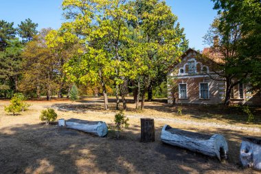 A. Pommer Malikânesi. Bahçesinde yeşil ağaçlar ve banklar olan terk edilmiş eski bir bina. Taul, Moldova.