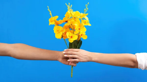 Мужчина Дарит Жёлтые Цветы Женщине Синем Фоне Две Руки Понятие — стоковое фото
