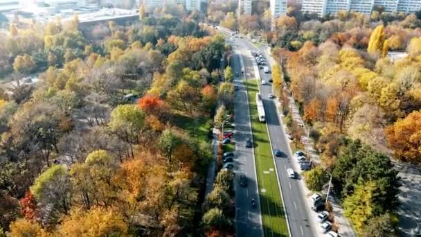 Bucharest Roménia Outubro 2020 Uma Estrada Com Carros Movimento Perto — Vídeo de Stock