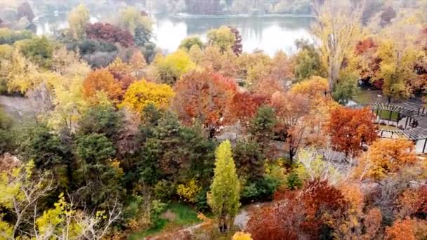 El parque Titán con lago y múltiples árboles multicolores, carretera con coches en movimiento cerca del parque. Vista desde el dron, Bucarest, Rumania — Vídeo de stock