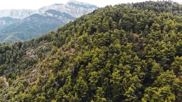 Kopec pokrytý bujnou zelení, stromy a keři, Thassos, Řecko — Stock video