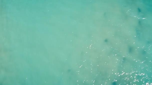 上から海の海岸の眺め。小さな波、透明な水。海岸沿いの足跡 — ストック動画