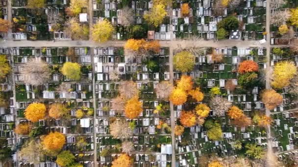 Cemitério com várias sepulturas e árvores amareladas. Vista do drone. Bucareste, Roménia — Vídeo de Stock