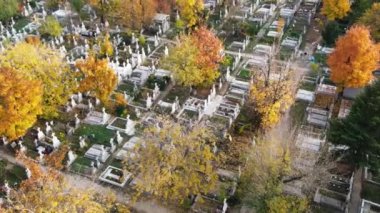 Birden fazla mezarı ve sarı ağaçları olan bir mezarlık. İnsansız hava aracının görüntüsü. Bükreş, Romanya