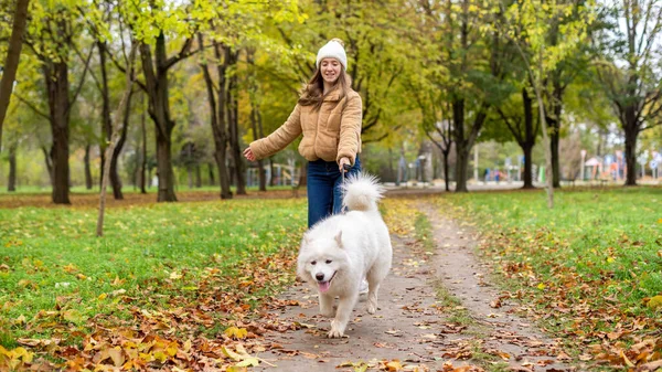 Woman with her dog in autumn in a park. Woman is walking and holding the leash. Yellowed leaves on the ground