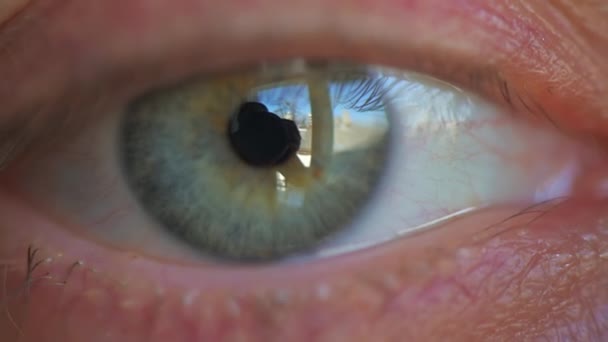 Primer plano de un ojo de mujer, mirando hacia la cámara y parpadeando, enfoque suave — Vídeos de Stock