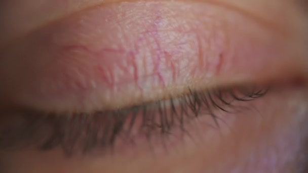 Close up of an woman eye, looking towards camera and blinking, soft focus — Stock Video