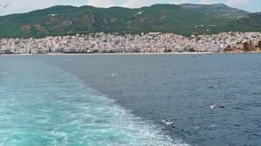 Yüzen feribotun yanında uçan martılar. Uzağa in. Hava bulutlu. Ağır çekim. Yunanistan