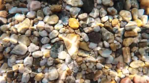 Fondo Roccioso Del Mar Egeo Visibile Attraverso Acqua Limpida Rifrazione — Video Stock
