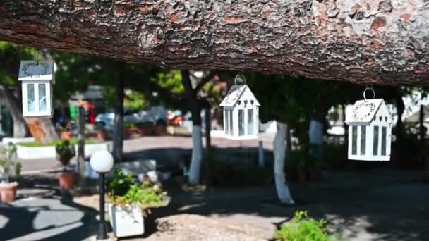 Kolébání Pouzdrech Svíčky Zavěšené Větvi Stromu Zahradě Silnici Pozadí Nikiti — Stock video