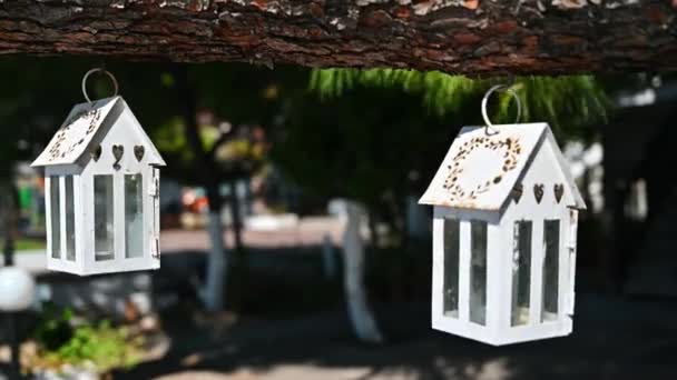 Balanceo Las Cajas Viento Para Velas Suspendidas Por Una Rama — Vídeo de stock