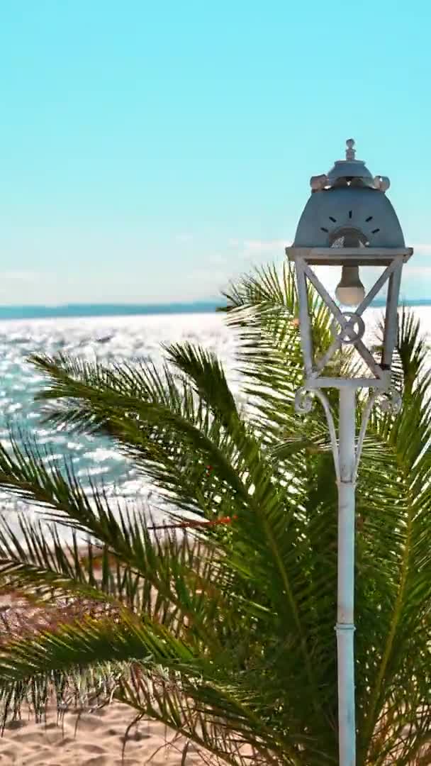 Vintage Lamppost Painted White Color Aegean Sea Coast Water Plant — Stock Video