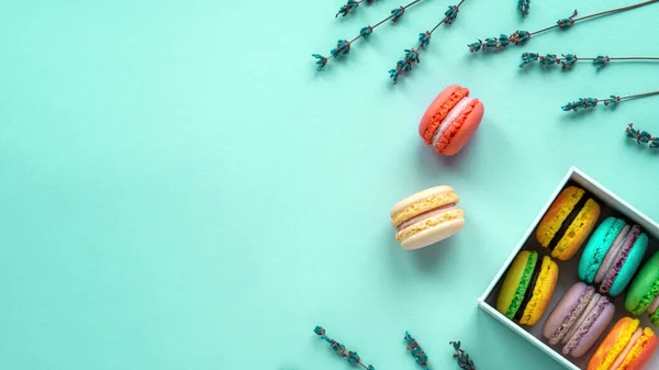 Bunte Macarons Mit Blauem Kraut Auf Blauem Hintergrund — Stockfoto