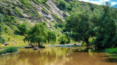 Doğanın manzarası, nehir, yeşillik, arka planda tepe, Moldova