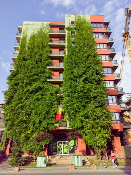 Cluj Napoca Romania July 2021 Modern House Fully Covered Greenery — Stock Photo, Image