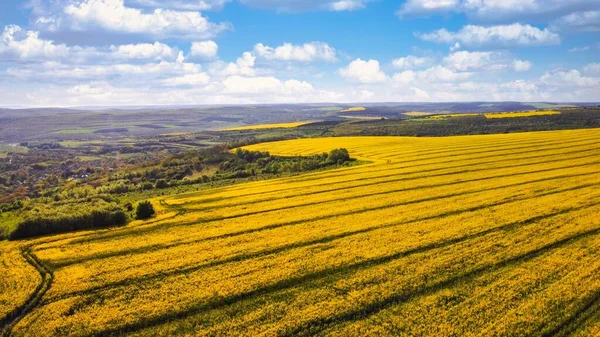 Vista Aérea Naturaleza Moldavia Campos Amarillos Verdes Con Orugas Tractor — Foto de Stock