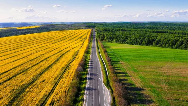 Vue Aérienne Par Drone Nature Moldavie Champ Jaune Avec Tracteurs — Photo