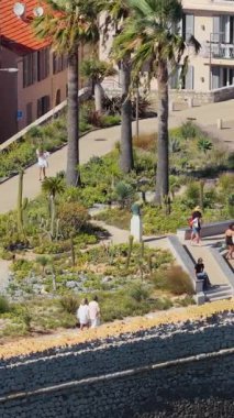 Antibes, Fransa - 4 Eylül 2025: Eski Şehir 'in tarihi taş surları boyunca kaktüs bitkileri, palmiye ağaçları ve Akdeniz peyzajı ile yürüyen insanların hava aracı görüntüsü. Dikey