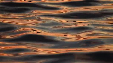 Altın güneş ışığı sakin suyun yüzeyinde dans eder, alacakaranlıkta güzel yansımalar yaratır. Su dalgaları üzerinde günbatımının yavaş çekim yansıması