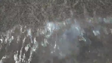 Şeffaf bir denizanasının, gün ışığı yansımalarıyla sığ ve berrak sularda yüzen yüzeyini kapatın.