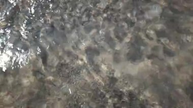 Sakin sualtı manzarası deniz yüzeyinin altında kum dalgalanmaları ve ışık yansımalarını gösteriyor.