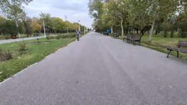 Boş bir park yolunun geniş görünümü bulutlu bir sonbahar gününde sıralanmış banklar ve yeşil ağaçlarla dolu.