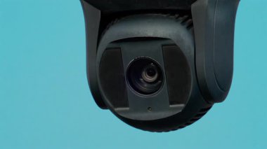 Titrek yeşil palmiye yaprakları bulutsuz mavi gökyüzünün altında rüzgarda yavaşça sallanır.